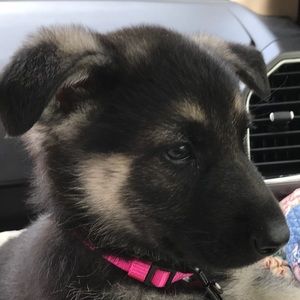 Meet your Posher, Gary